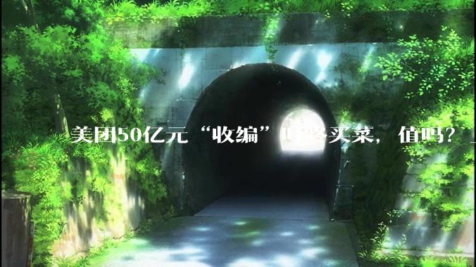 美团50亿元“收编”叮咚买菜，值吗？_零售_收购_业务